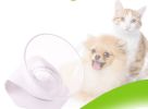 Cat Food Bowl Pet Feeding Bowl Elevated Feeder Bowl with Non-Slip Rubber Base